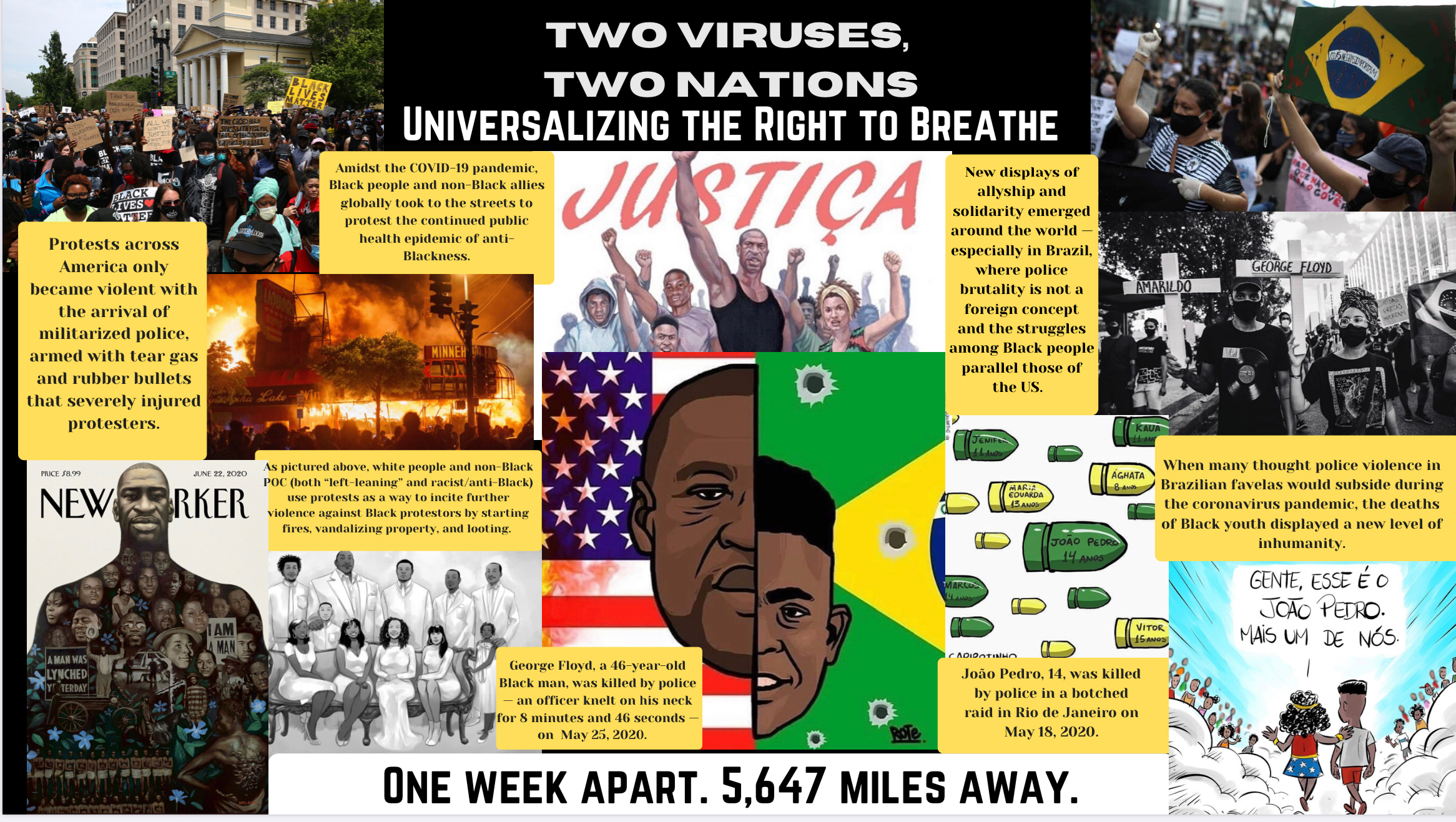 5.1 Two Viruses, Two Nations: Universalizing the Right to Breathe