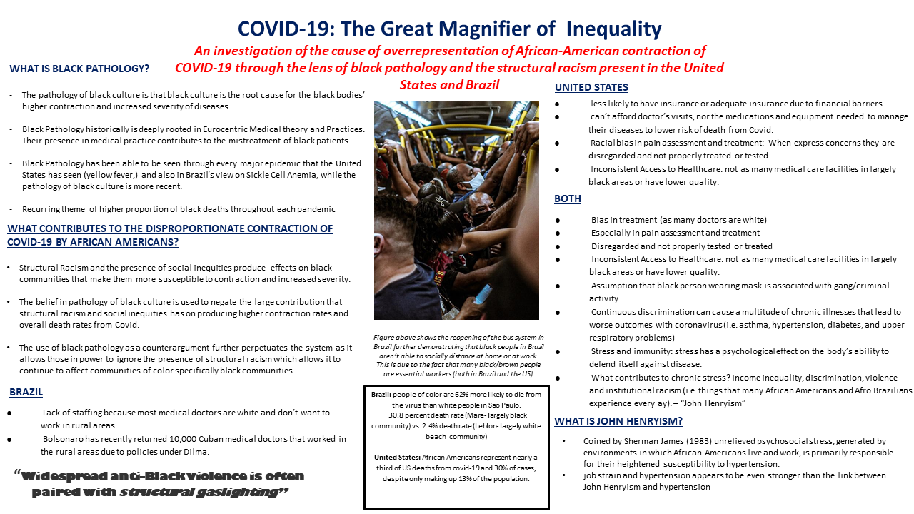 5.3 COVID-19: The Great Magnifier of Inequality